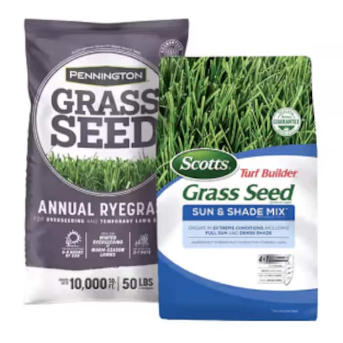 Grass Seed - The Home Depot